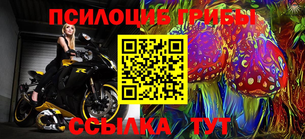 Абинск  Псилоцибиновые грибы Psilocybine cubensis  Вход с VPN 